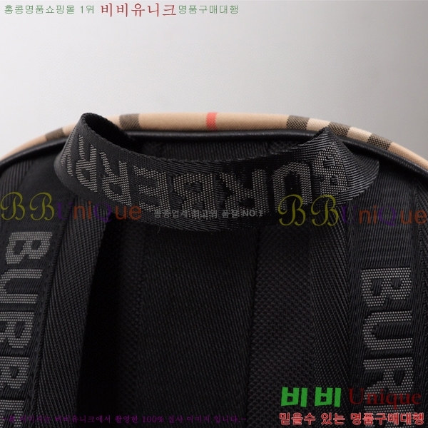 ������ ���� 1061-1