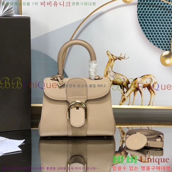 #���� �긮�ӹ� �̴� DV0020-5