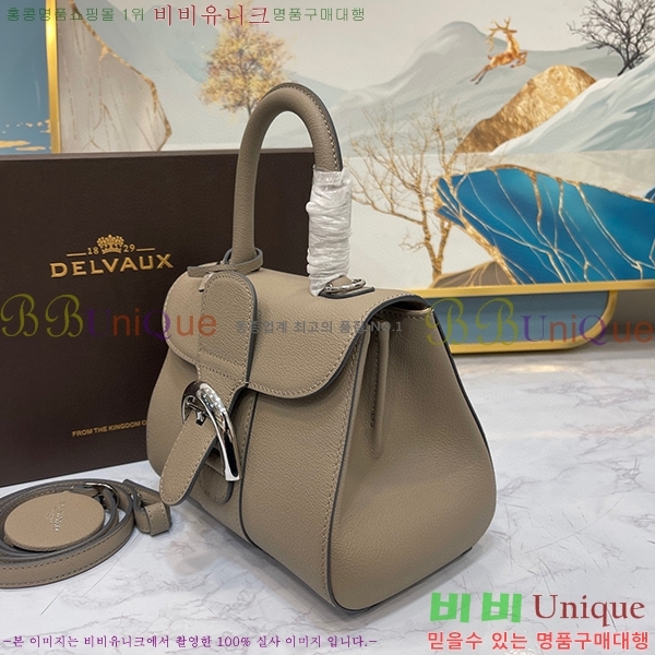 #���� �긮�ӹ� �̴� DV0020-9