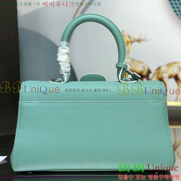 #���� �긮�ӹ� DS0028-10