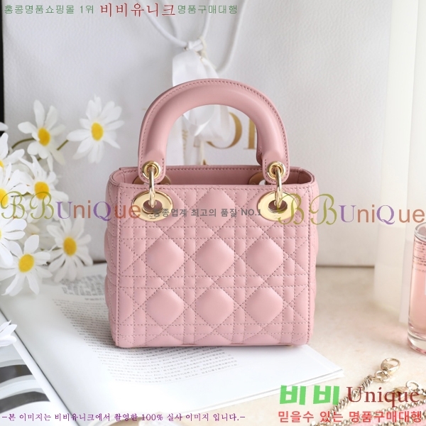 #��� Lady Dior �̴� ���̵�� M050555-1