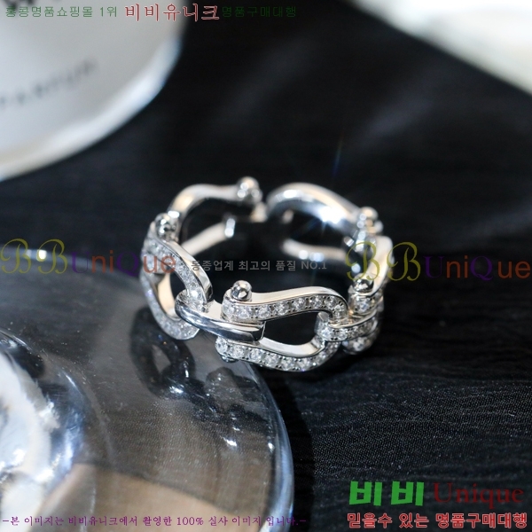 ������ ���� FR100236-1