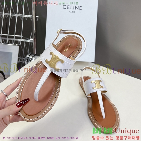 ������ Ʈ������ ���� 31CE245235-1