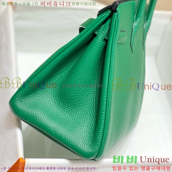 #�����޽� ��Ų�� 30 ������� 95HE916618-9