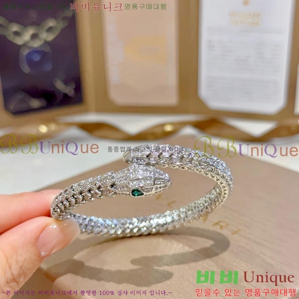 �Ұ��� ���� BV2411364