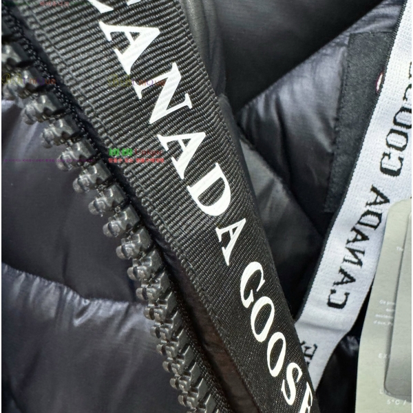 ���� ĳ���ٱ��� �ٿ� �е� 67GC2163853