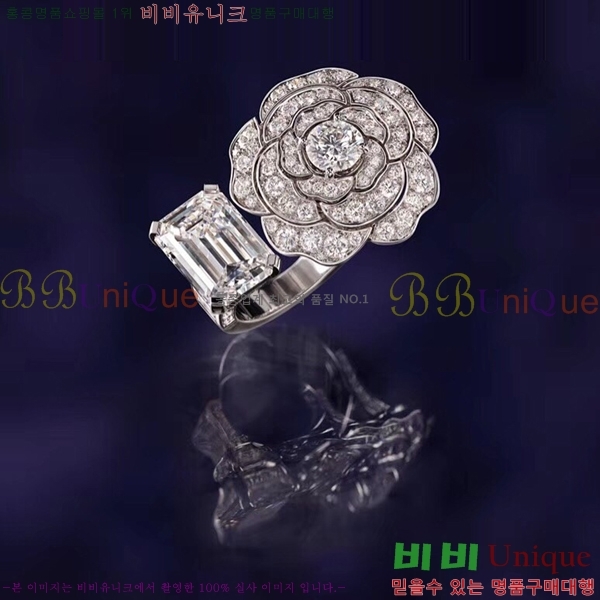 ��* ���� CHA1209-1