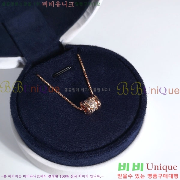 ���� �Ұ��� �̵�� ����� BV1110123-2