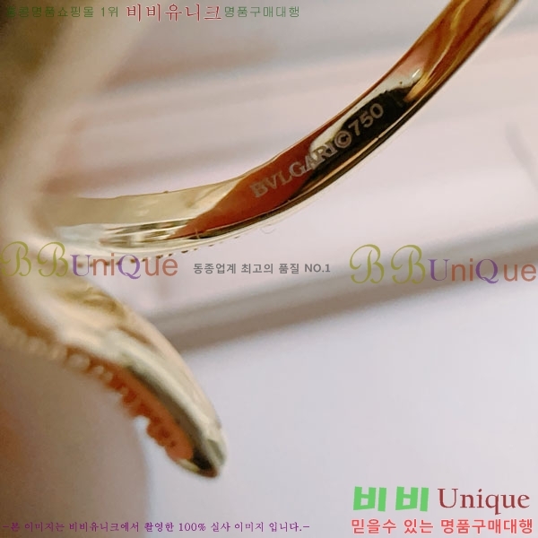 �Ұ��� ���� BVLG08670-1