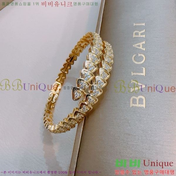 �Ұ��� ���� BVLG921129-1