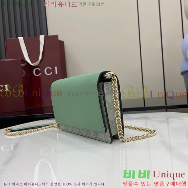 #���� GG ������ ü�� ���� ‎826720-102