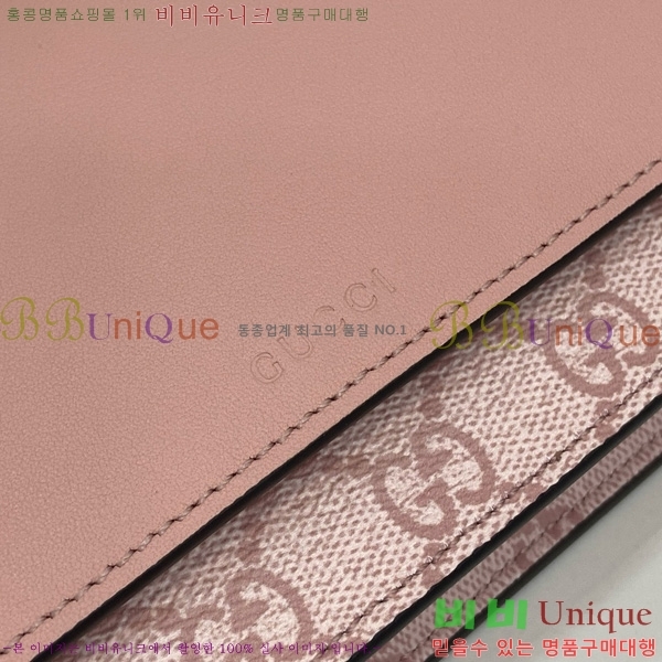 #���� GG ������ ü�� ���� ‎826720-101