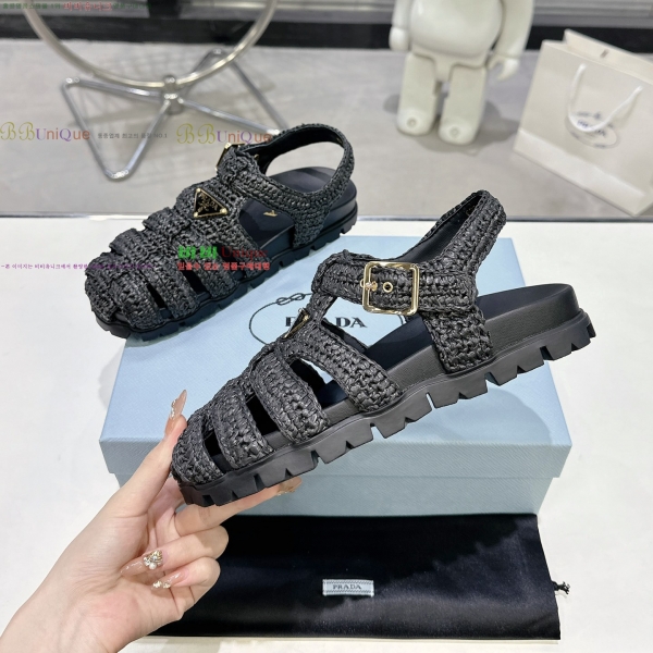 ���� ����� ���� ���� 31P255245-5