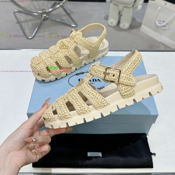 ���� ����� ���� ���� 31P255245-1