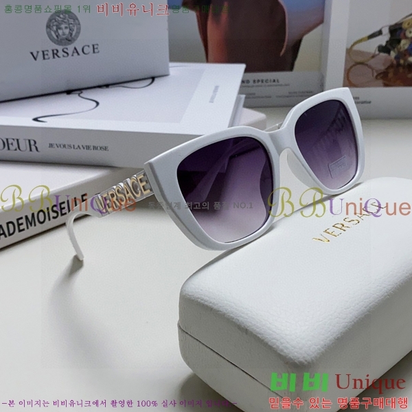 ������ü ���۶� VE102295-4