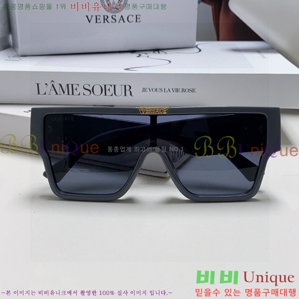 ������ü ���۶� VE102293-2