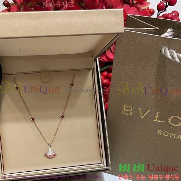 ���� �Ұ��� ����� BV1110123-5