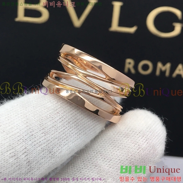 �Ұ��� ���� BVLG08670-2