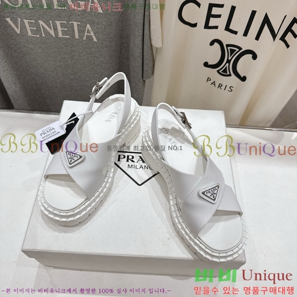 ���� ����� ���� 1P2500666-2