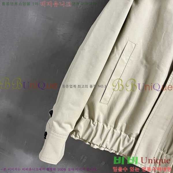 ���� ���װ�����Ÿ ���� BV13061208-1