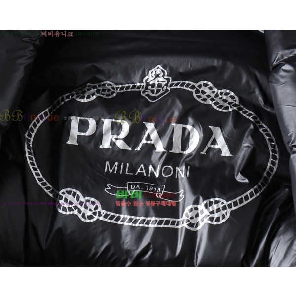 ���� ����� �ٿ� �е� PA253646