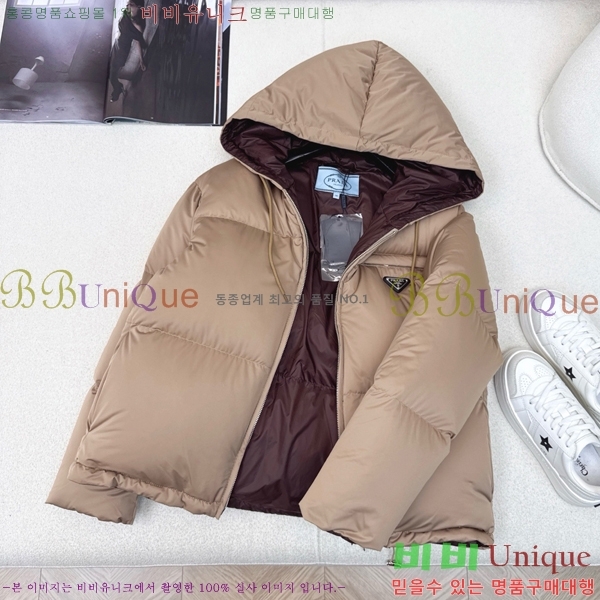 ���� ����� �ٿ� �е� PA287663-1