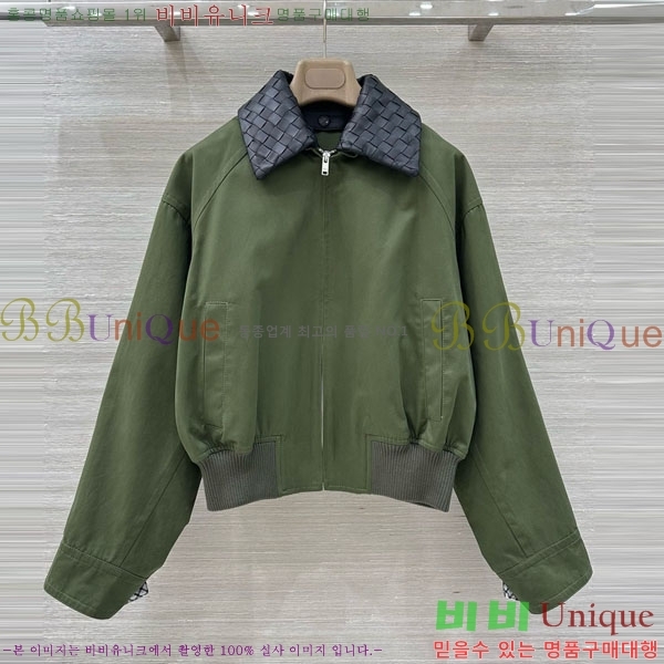 ���� ���װ�����Ÿ ���� BV156756-1