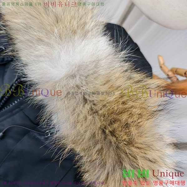 ���� ĳ���ٱ��� �ٿ� �е� CAG65783-5