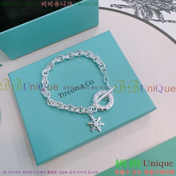 �������� Ƽ�Ĵ� ���� TF1234070-11