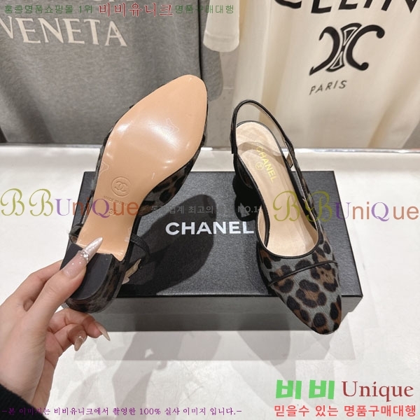 ���� ��* ������ ������ MV6546603  �� 6.5cm