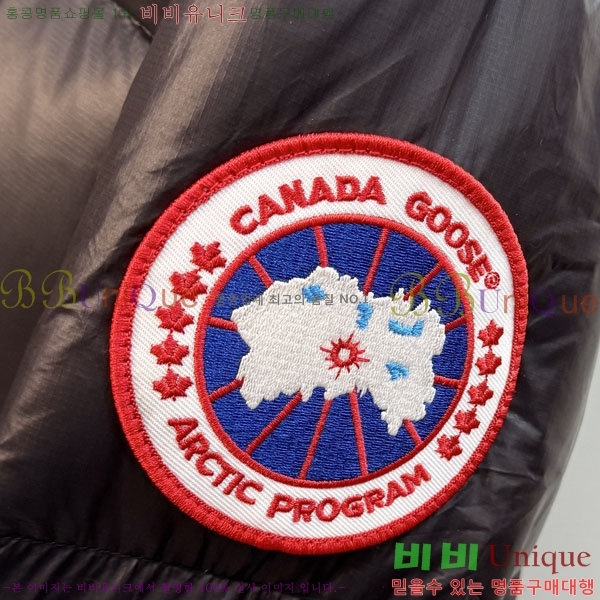 ���� ĳ���ٱ��� �ٿ� �е� CAG157494-1