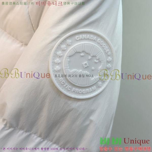 �������� ĳ���ٱ��� �ٿ� �е� CAG215556-2