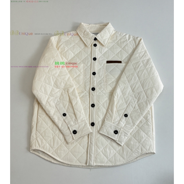 ���� ���װ�����Ÿ �淮 �е� BV242880-1