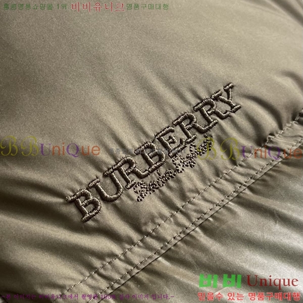 ���� ������ �ٿ� �е� BU154377-2