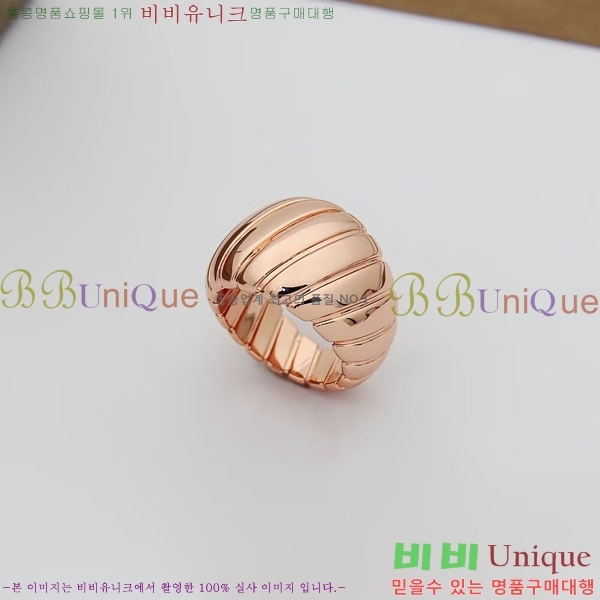 �Ұ��� ���� BVLG08670-1