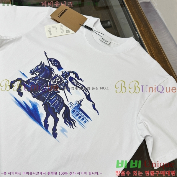 ���� ������ ���� Ƽ���� BU2015345-2