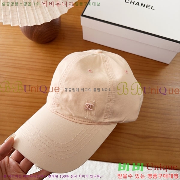 ��* ���� CH2520988-1