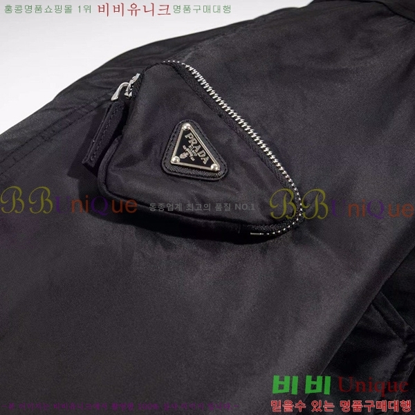 ���� ����� ��Ŷ PA248379