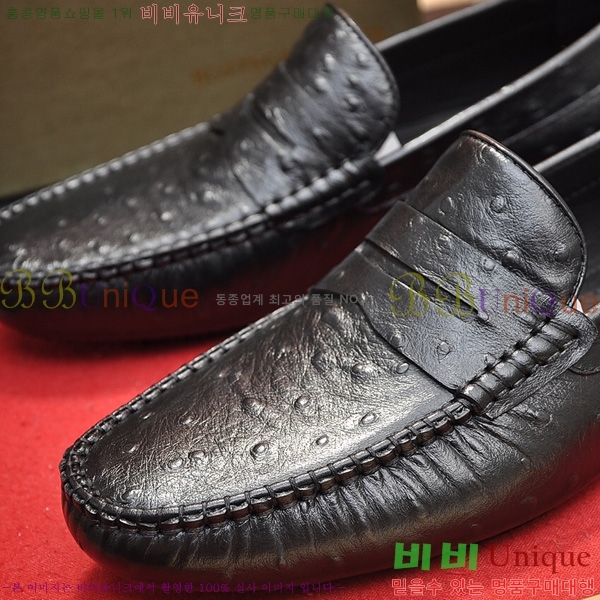 ���� ���װ�����Ÿ ���� BV480022