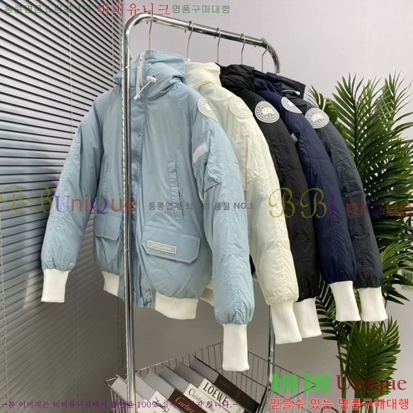 ���� ĳ���ٱ��� �ٿ� �е� CAG15736-5