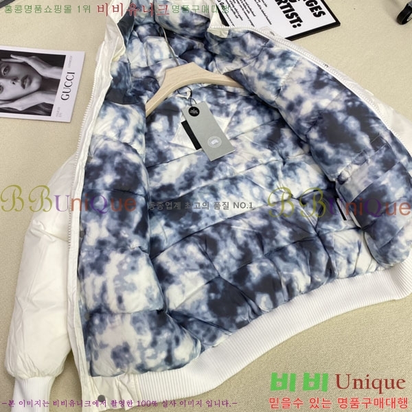 ���� ĳ���ٱ��� �ٿ� �е� CAG15736-2