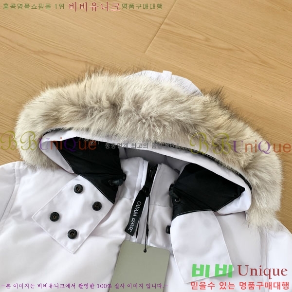 ���� ĳ���ٱ��� �ٿ� �е� CAG15738-2