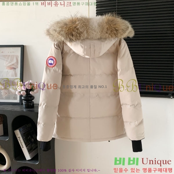 ���� ĳ���ٱ��� �ٿ� �е� CAG15738-4