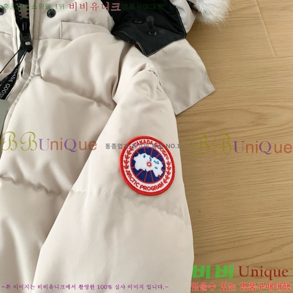 ���� ĳ���ٱ��� �ٿ� �е� CAG15738-4