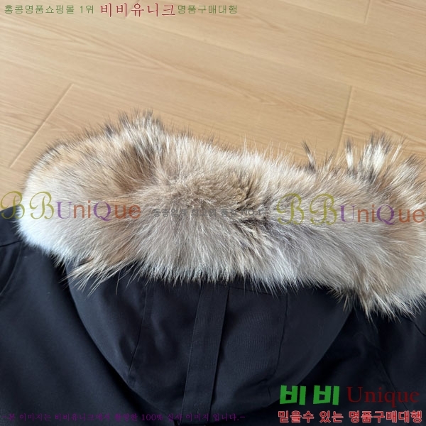 ���� ĳ���ٱ��� �ٿ� �е� CAG15744-1