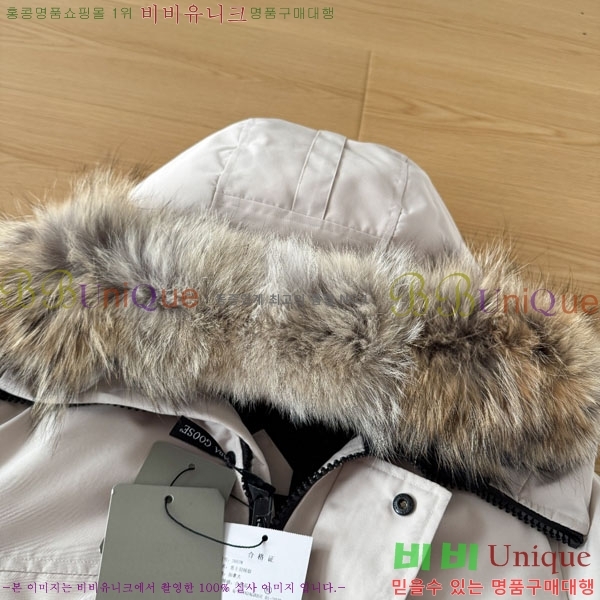 ���� ĳ���ٱ��� �ٿ� �е� CAG15744-3