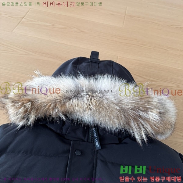 ���� ĳ���ٱ��� �ٿ� �е� CAG15745-5