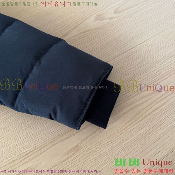 ���� ĳ���ٱ��� �ٿ� �е� CAG15745-5