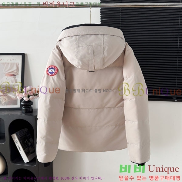 ���� ĳ���ٱ��� �ٿ� �е� CAG15735-1
