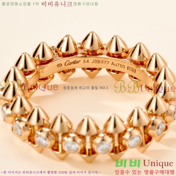 �������� ��쿡 ���� CA2450733-2